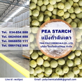 แป้งถั่วลันเตา, Pea Starch, Native Pea Starch, 豌豆粉, นำเข้าแป้งถั่วลันเตา, จำหน่ายแป้งถั่วลันเตา 