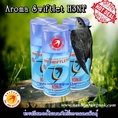 Aroma Swiftlet H3N1