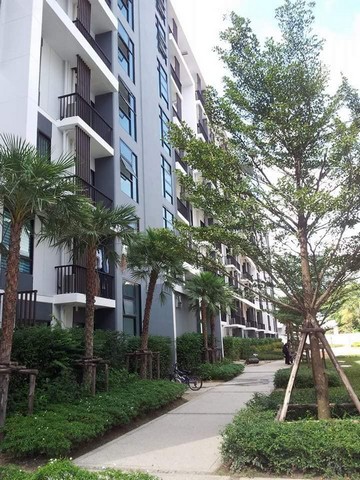 ขายด่วน I CONDO สุชุมวิท 105 1 นอน 1 น้ำ ใกล้รถไฟฟ้า BTS แบริ่ง  รูปที่ 1