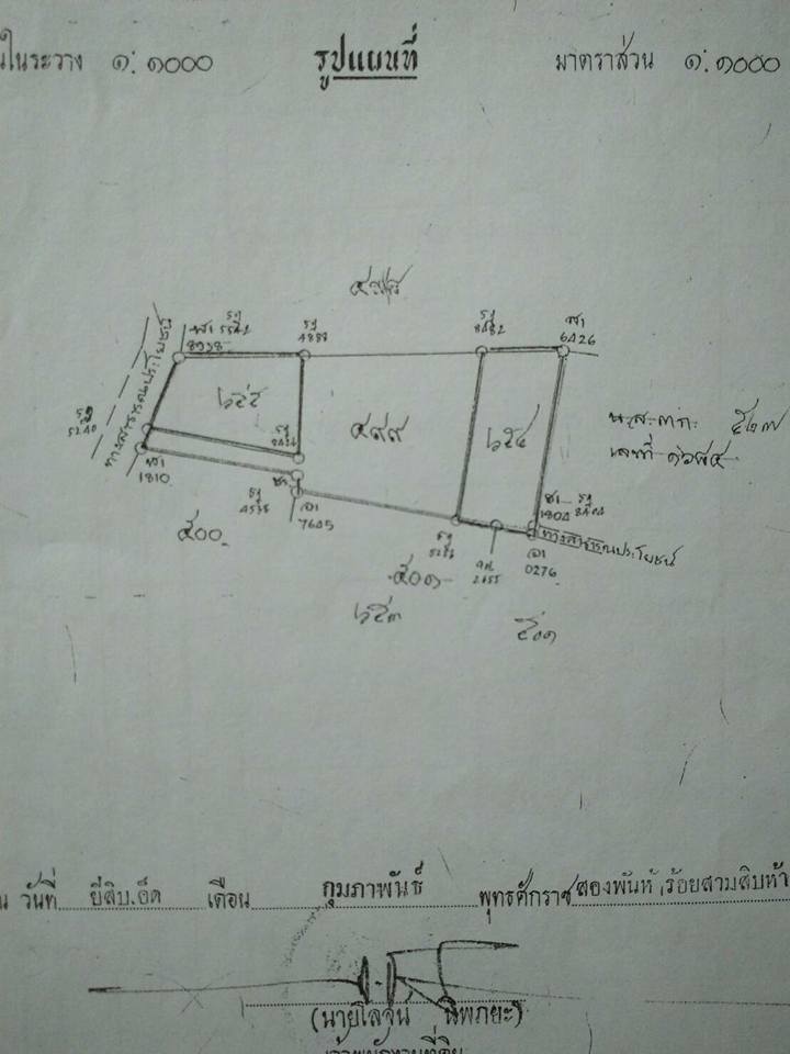 ขายบ้านพร้อมที่ดิน 2งาน 12 ตารางวา  3ห้องนอน 1ห้องน้ำ 1ครัว 1ห้องโถง พื้นที่เหลือ  รูปที่ 1