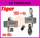 รูปย่อ เครื่องชั่งแขวน 600kg-30ตัน ยี่ห้อ TIGER รุ่น TIGER-TC-01 ราคาประหยัด รูปที่1