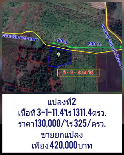 ที่ดินเปล่าหลังกองบิน4 อ.ตาคลี จ.นครสวรรค์ มีหลายแปลง ยกแปลงหรือแบ่งขาย รูปที่ 1