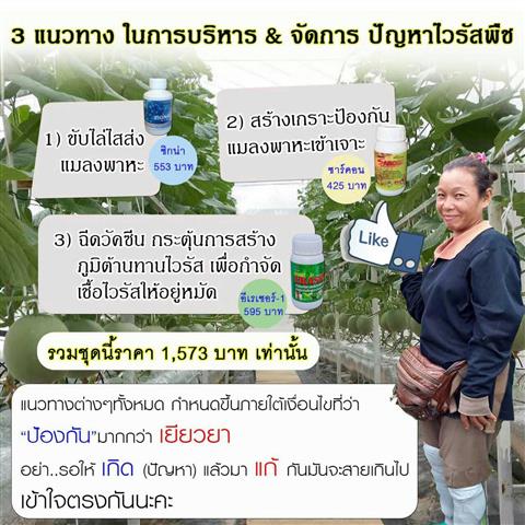 สารอินทรีย์ บำรุงพืช กำจัดโรคพืช  ไวรัสพืช รูปที่ 3