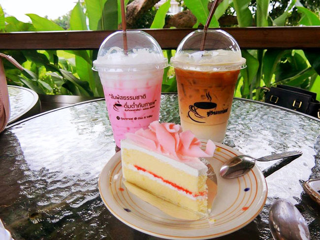 ทุ่งนากาแฟ at เชียงใหม่ รูปที่ 3