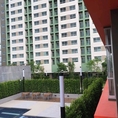 ปล่อยเช่า ลุมพินีเพชรเกษม 98 Condo Lumpini Park Phetkasem 98  ตึก B ชั้น 14