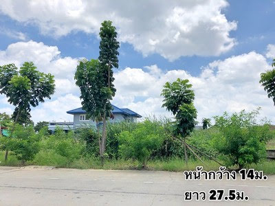 ขายที่ดินซ.ทวีวัฒนา25 ถ.พุทธมณฑลสาย4 (ม.ร่วมเกื้อ) ขนาดที่ดิน  94 ตรว เหมาะทำที่อยู่อาศัย ทำเลดีมาก รูปที่ 1