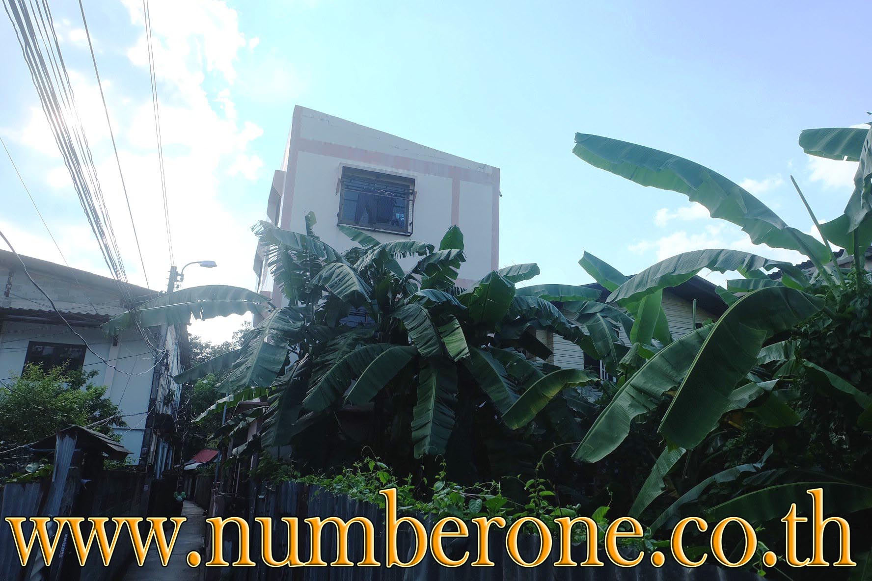 ขายบ้านเดี่ยวพร้อมห้องเช่า ถ.ประชาราษฎร์สาย 1  รูปที่ 5