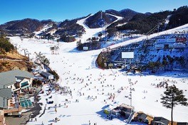 ทัวร์เกาหลี Best Ski Ice Fishing 5 วัน 3 คืน ราคาเริ่มที่ 18,900 บาท รูปที่ 1
