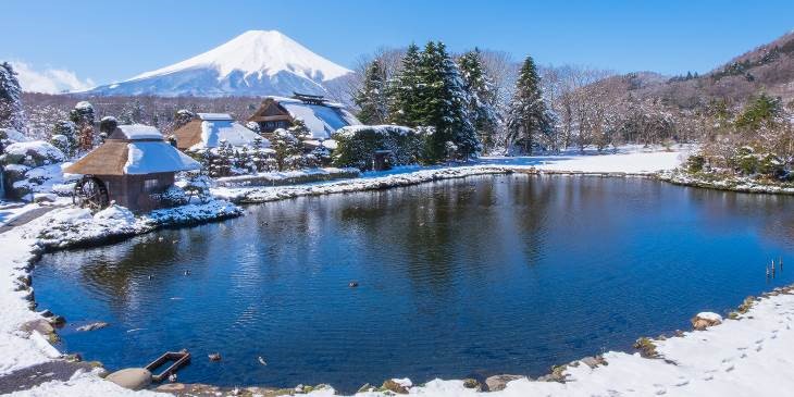 ทัวร์ญี่ปุ่น TOKYO SPARKLING SNOW 5D3N    ราคาเริ่มต้น 23,999.- รูปที่ 1