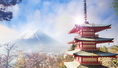 ทัวร์ญี่ปุ่น-TOKYO FUJI IBARAKI ซุปตาร์ Snow white 5 วัน 3 คืน (XJ)