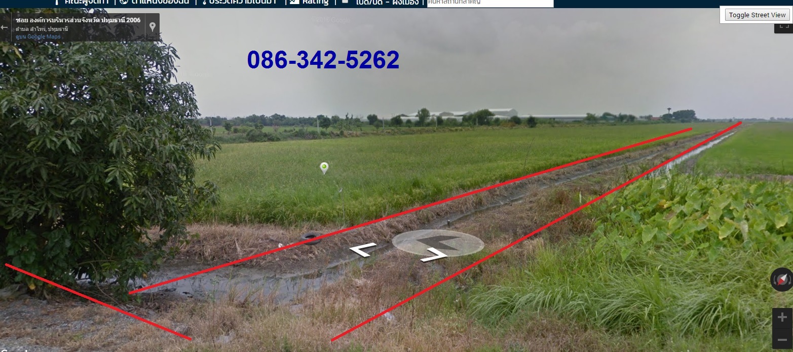 0431 ขายที่ดิน 46 ไร่ ใกล้ถ.ลำลูกกา (คลอง 11) อ.ลำลูกกา ปทุมธานี รูปที่ 3