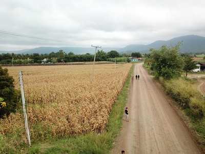 ขายที่ดิน เขาใหญ่ ต.วังไทร อ.ปากช่อง 3ไร่ วิวเขา สวยมากๆ รูปที่ 1