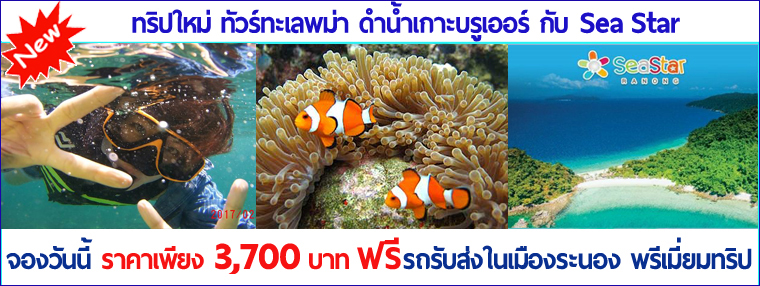 ทัวร์เกาะบรูเออร์ ทะเลพม่า SeaStar รูปที่ 1