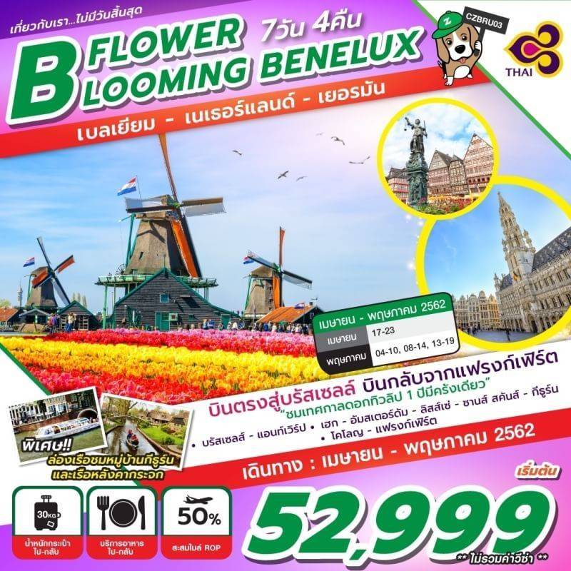 ทัวร์ยุโรป เทศกาลดอกไม้ Keukenhof เบเนลักซ์ 7วัน TG 52999 เมย-พค62 รูปที่ 1