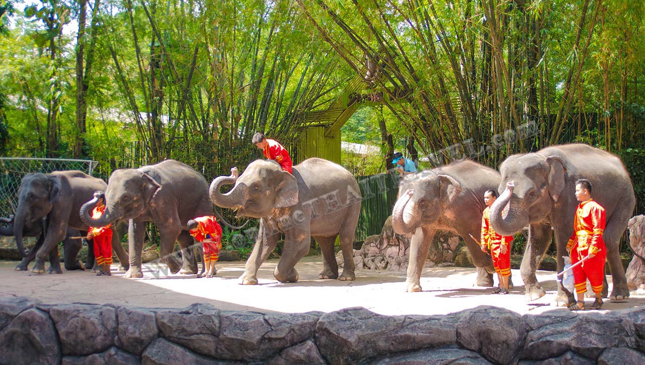 (Safari World) รูปที่ 4