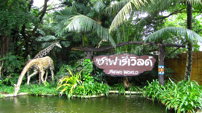 (Safari World) รูปที่ 3