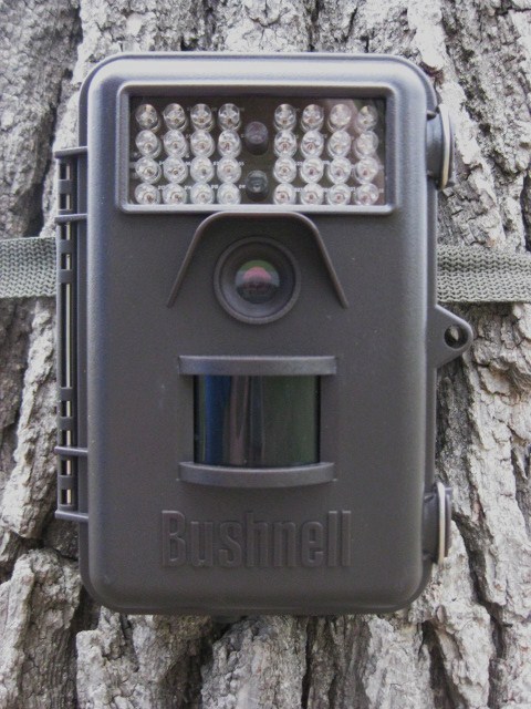 กล้องบันทึกภาพในที่มืดBushnell 8MP Trophy Cam Night Vision รูปที่ 6