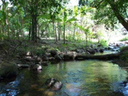 ที่ แม่ออน 9 ไร่ ติดลำธาร  รูปที่ 5