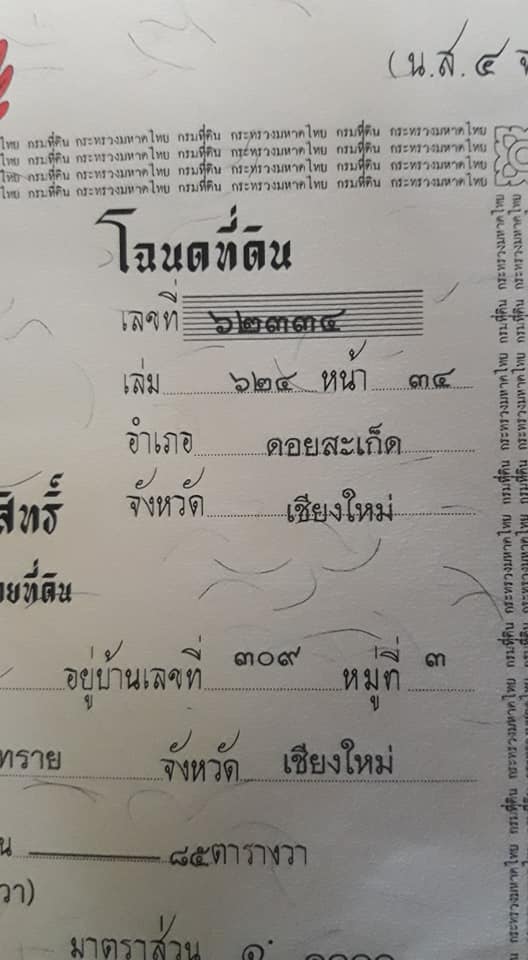 ที่ดินดอยสะเก็ด  50 ตาราวา รูปที่ 4