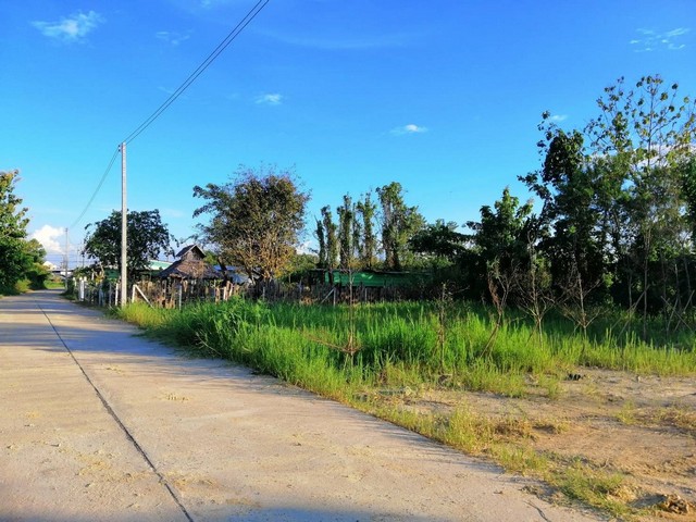 ที่ดิน ใกล้เมืองเชียงใหม่ แม่ริม สาธารณูปโภคพร้อม รูปมังกร วิวภูเขา ทุ่งนา ต.ริมใต้ แม่ริม เชียงใหม่  รูปที่ 1