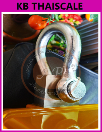 เครื่องชั่งแขวน 5000kg ความละเอียด 2kg รุ่น OCS-XZ-5000 บริการจัดส่งสินค้าทั่วประเทศ รูปที่ 5