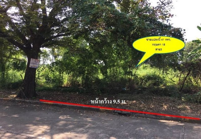 ขายที่ดิน กฤษดานคร 18 สาย3 เนื้อที่ 41 ตรว.สร้างบ้านพอดี รูปที่ 1