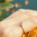 รูปย่อ แหวนพลอยแท้ สีชมพู พิ๊งค์แซฟไฟร์ กลม 4 มิล  รูปที่2