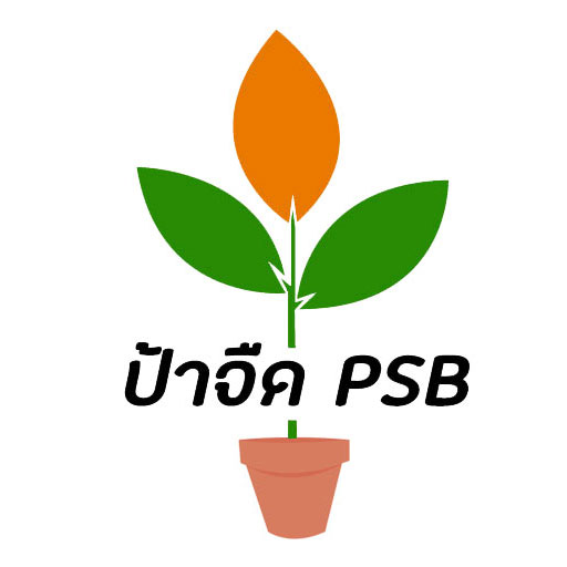 หัวเชื้อจุลินทรีย์สังเคราะห์แสง ป้าจืดPSB พืชโตเร็ว แข็งแรง ผลดก ดอกดก ไร้สารเคมี เป็นง่าย ขยายต่อได้ไม่อั้น  รูปที่ 2