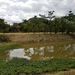 รูปย่อ FOR SALE ที่ดินโคราช ไร่ละ 690,000 บาท พร้อมบ้านพักน้ำไฟพร้อมสวนเกษตรบ่อน้ำอีก 3 บ่อ รูปที่1