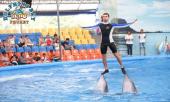 โลมาโชว์ Phuket Dolphins ราคาพิเศษ รูปที่ 1