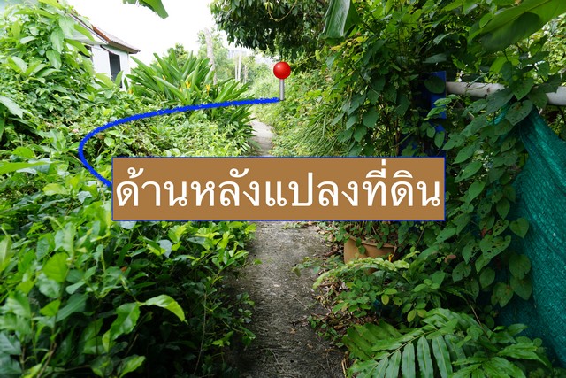 ขาย ที่ดิน ซอยกรุงเทพ – นนทบุรี 12 (ซอยศิริชัย 1/38) เนื้อที่ 193 ตรว. รูปที่ 1