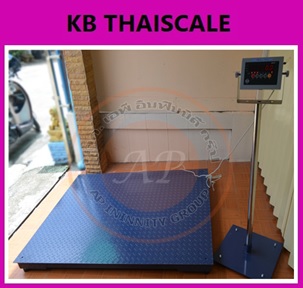 เครื่องชั่งตั้งพื้น แท่นขนาดพิเศษ 1-5ตัน ยี่ห้อ SDS รุ่น IDS701 รูปที่ 3