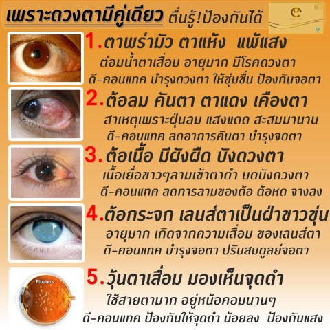 อาหารเสริมดวงตา ดีคอนแทค D contact ช่วยแก้ปัญหาตามัว เห็นภาพพร่า  ไม่แจ่ม มองไม่ชัด รูปที่ 3