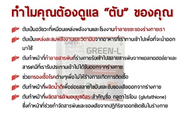 Green L กรีนแอล ผลิตภัณฑ์เสริมอาหารเพื่อบำรุงตับ ดีท็อกซ์ตับ  ล้างสารพิษในตับ  รูปที่ 4