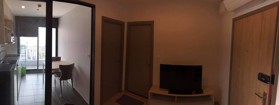 ให้เช่า IDEO O2 (ไอดีโอ โอ2) บางนา 1 Bedroom 1 Bathroom  33.7 sq.m  รูปที่ 1