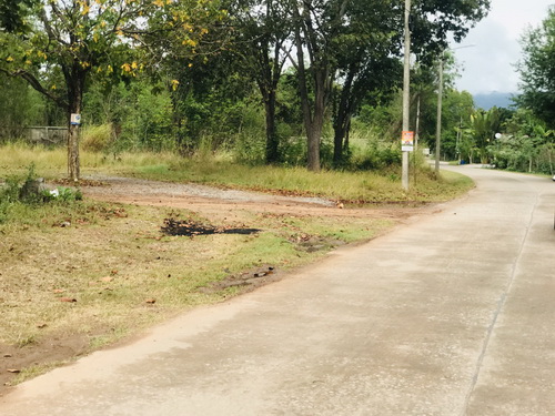 ที่ดินสวยเหมาะสำหรับสร้างบ้านจัดสรร ใกล้มหาวิทยาลัยสุรนารี เนื้อที่ 38 ไร่ รูปที่ 1