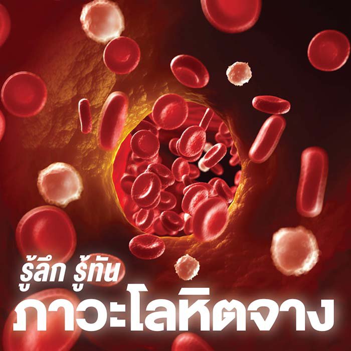 ภาวะโลหิตจาง ภัยเงียบที่ใกล้ตัว เอินเวย์ มีทางออก รูปที่ 4