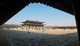 ทัวร์เกาหลี-The Best Time Spring in Seoul 5 วัน 3 คืน (TG)
