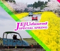 ทัวร์เชจู JEJU SPECIAL SPRING 4วัน 2คืน เริ่มเพียง 7,900 บ.