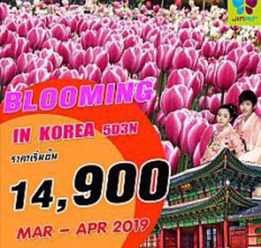 ทัวร์เกาหลี BLOOMING IN KOREA 5วัน 3คืน  เริ่มเพียง 14,900 บ. รูปที่ 1