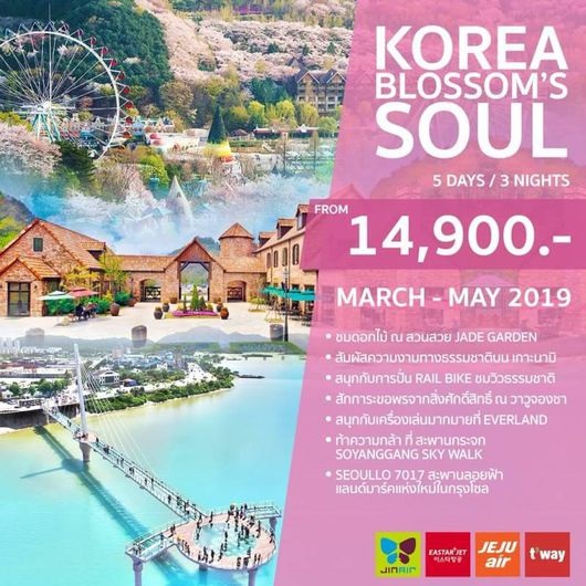 ทัวร์เกาหลี Blossom's Soul 5วัน 3คืน เริ่มเพียง 14,900 บ. รูปที่ 1