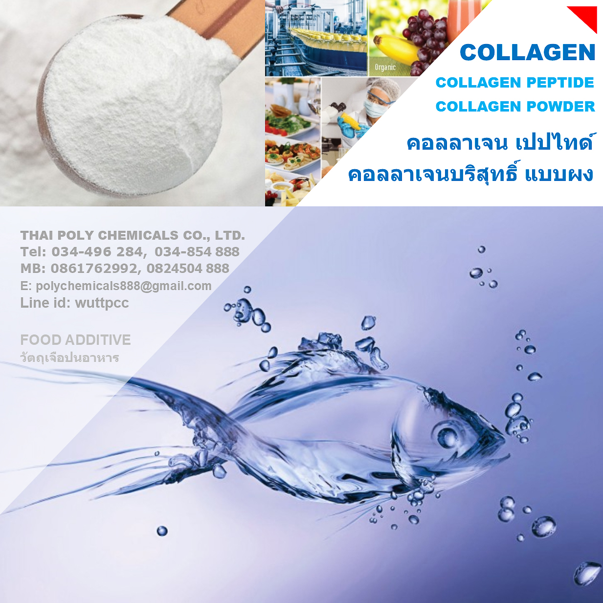 คอลลาเจนจากปลา, คอลลาเจนสกัดจากปลา, Fish Collagen, Fish Collagen Peptide, Marine Fish Collagen รูปที่ 1