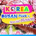 ทัวร์ปูซาน BUSAN PLUS + SPECIAL BLOSSOM 2018 4วัน 2คืน เริ่มต้นเพียง 12,900 บ.