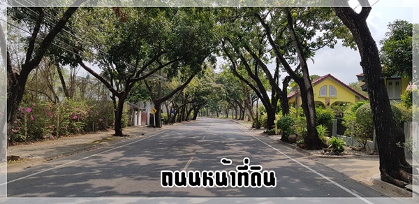 ขาย ที่ดินหมู่บ้านนวธานี ด้านหน้าติดถนนเมน ด้านหลังติดสนามกอล์ฟ รูปที่ 3