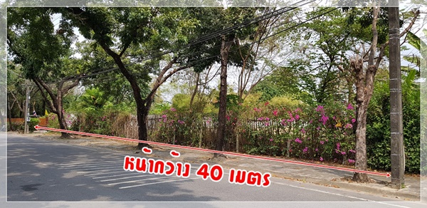 ขาย ที่ดินหมู่บ้านนวธานี ด้านหน้าติดถนนเมน ด้านหลังติดสนามกอล์ฟ รูปที่ 2