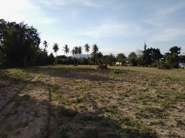 ขายที่ดินยกแปลงเหมาะสำหรับทำบ้านจัดสรร ชลบุรี 7 ไร่ รูปที่ 5