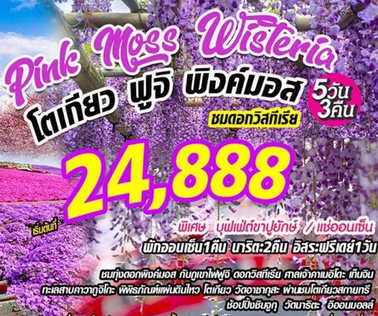 ทัวร์ญี่ปุ่น Pink Moss Wisteriaโตเกียว ฟูจิ พิงค์มอส วิสทีเรีย 5D3N   เริ่มเพียง 24,888 บ. รูปที่ 1