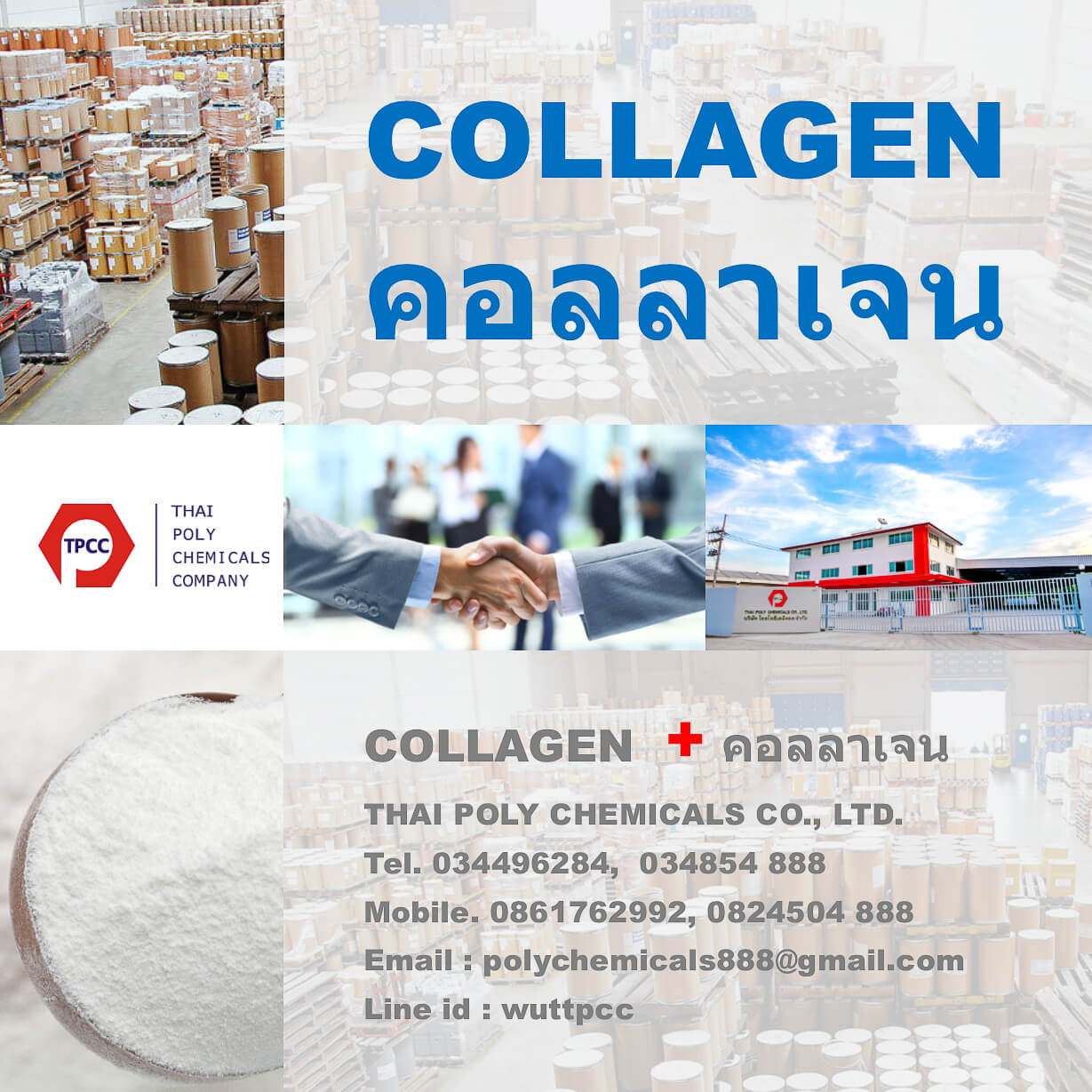 คอลลาเจนไทย, ไทยคอลลาเจน, คอลลาเจนไทยแลนด์, Thai Collagen, Collagen Thailand รูปที่ 1