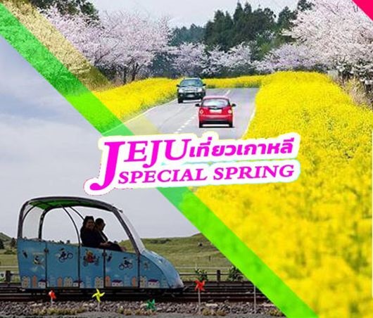 ทัวร์เชจู JEJU SPECIAL SPRING 4วัน 2คืน  เริ่มเพียง 7,900 บ. รูปที่ 1