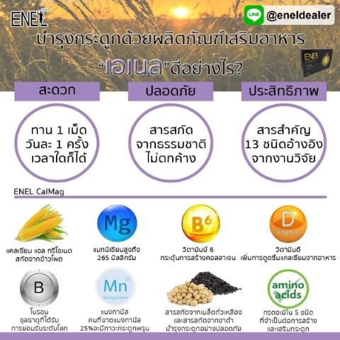 Enel CalMag เอเนล แคลแม็ก อาหารเสริมบำรุงกระดูก ไม่สะสม  ไม่ก่อให้เกิดหินปูนในร่างกาย รูปที่ 4
